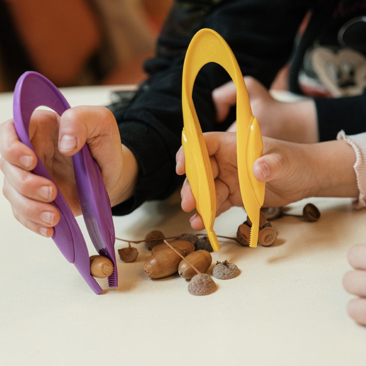 Vaikai žaidžia su gilėmis